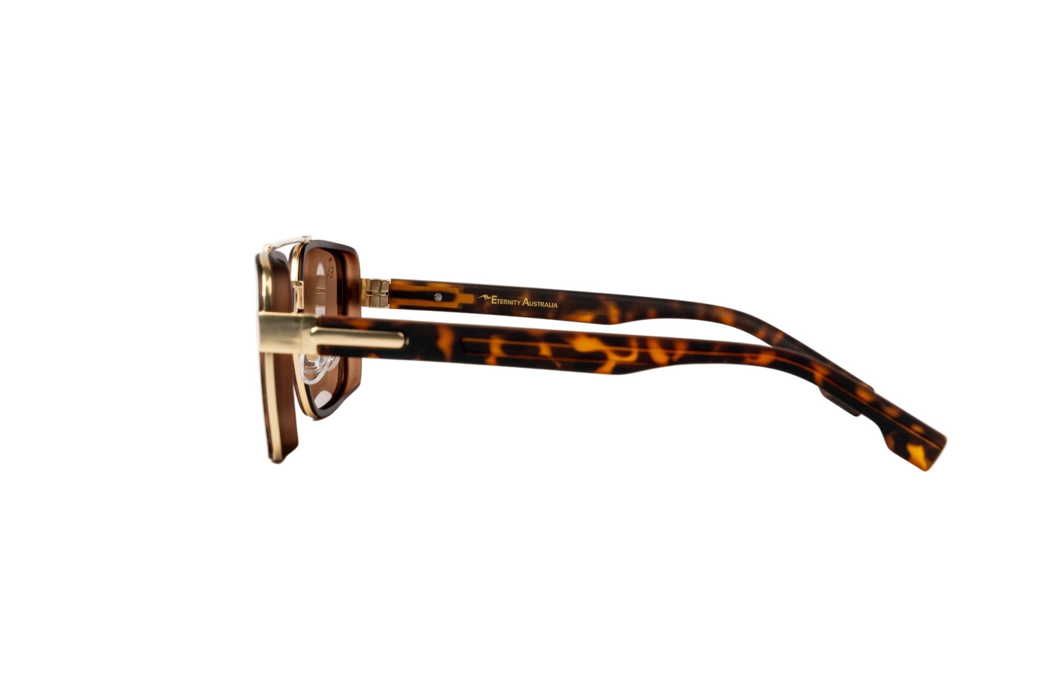Orion Lux Royal Tortoise